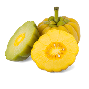 Garcinia Cambogia Logo